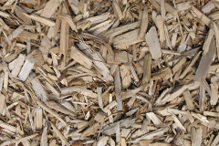 biomass boilers Cashes Green